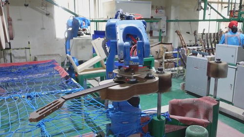 匠心筑夢南靖 打造全球尤克里里單項產品產值冠軍的樂器王國